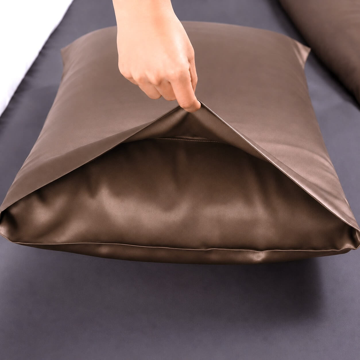 Silk Pillowcase 19 Momme - No Flange - Envelope Closure