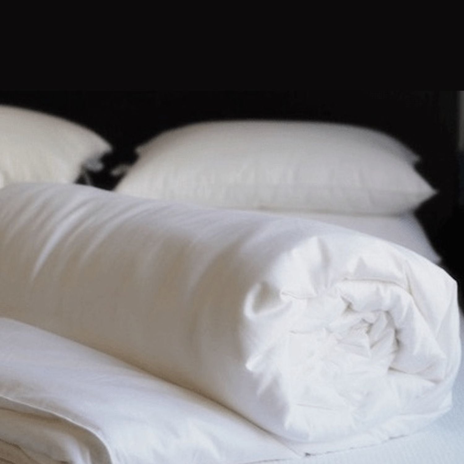 silk_duvet-zijden_dekbed-couette_en_soie-Bettdecke_aus_Seide_2e5de3e9-b923-46d1-b0a6-5ec7fa881e03