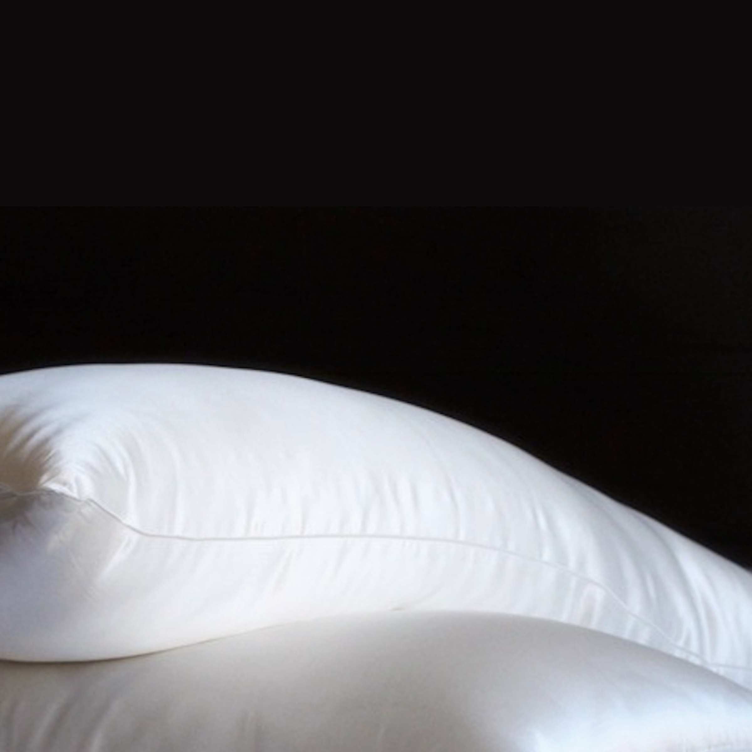 Seidenkissen mit Seidenbezug